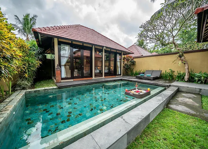 The Kampung *